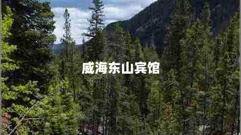 威海东山宾馆（山东威海东山宾馆）