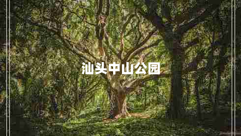 汕头中山公园（汕头中山公园作文）