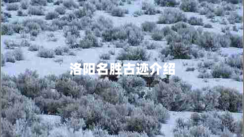 洛阳名胜古迹介绍（洛阳名胜古迹介绍文章）