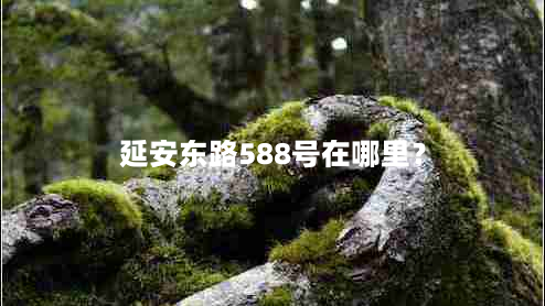 延安东路588号在哪里？