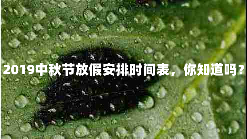 2019中秋节放假安排时间表，你知道吗？