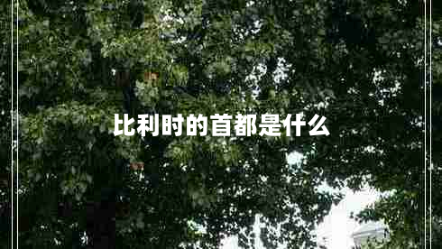 比利时的首都是什么（比利时的首都是哪）