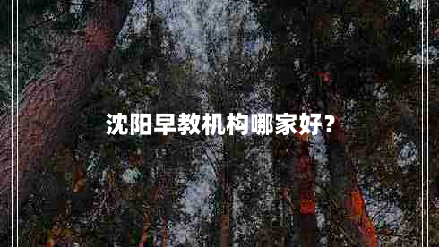 沈阳早教机构哪家好？