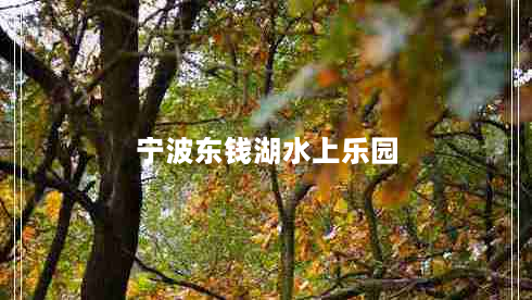 宁波东钱湖水上乐园（宁波东钱湖水上乐园关闭）