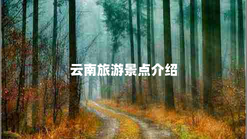 云南旅游景点介绍（云南旅游景点介绍公众号推荐）