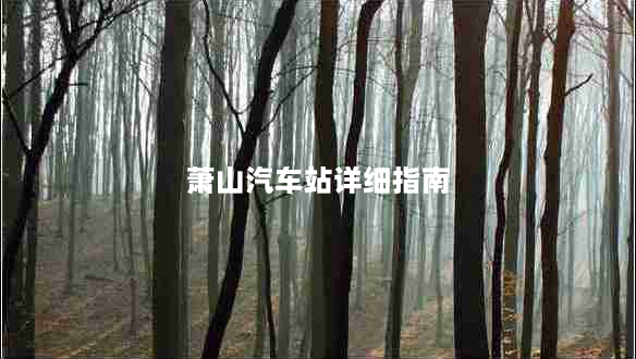 萧山汽车站详细指南（地址交通服务等全介绍）