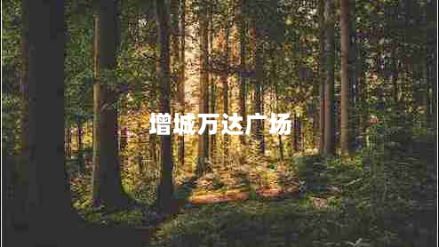 增城万达广场（广州增城万达广场）