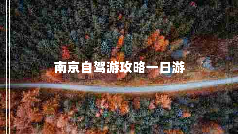 南京自驾游攻略一日游（南京自驾游攻略一日游免费）