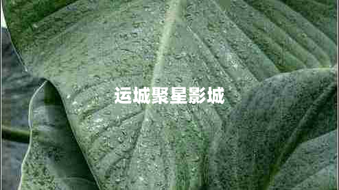 运城聚星影城（带你领略不一样的电影体验）