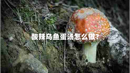 酸辣乌鱼蛋汤怎么做？