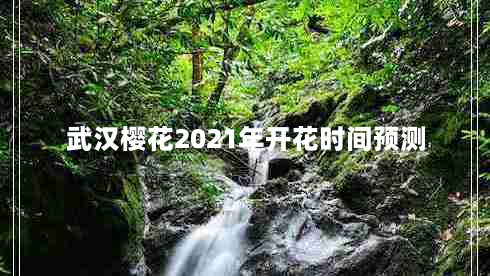 武汉樱花2021年开花时间预测（详细分析武汉樱花开放规律）