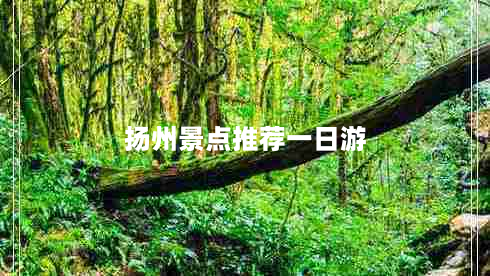 扬州景点推荐一日游（扬州旅游1日游）