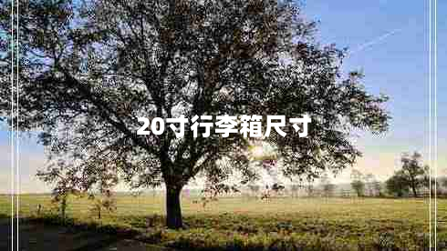 20寸行李箱尺寸（详细介绍20寸行李箱的尺寸及适用场合）