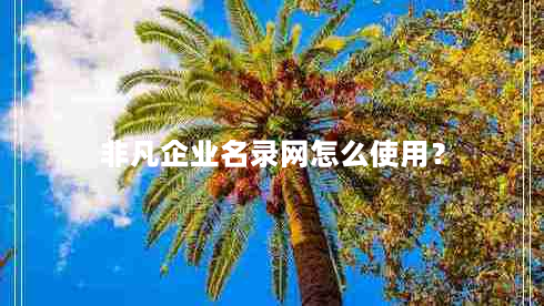 非凡企业名录网怎么使用？