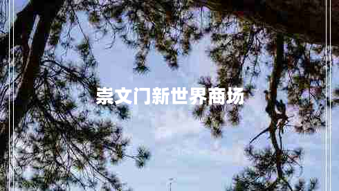 崇文门新世界商场（新开业商场介绍）