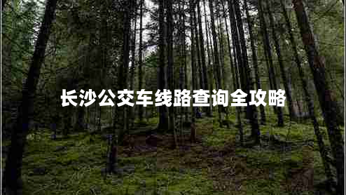 长沙公交车线路查询全攻略（让你轻松找到目的地，不再迷路）