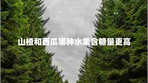 山楂和西瓜哪种水果含糖量更高（甜度对比分析）