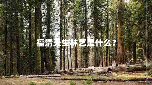 福清天生林艺是什么？