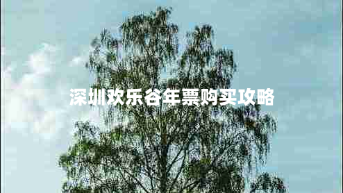 深圳欢乐谷年票购买攻略（省钱又省心）