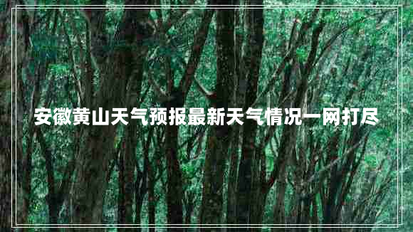 安徽黄山天气预报最新天气情况一网打尽