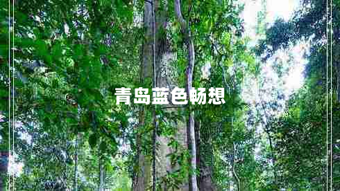 青岛蓝色畅想（青岛蓝色畅想文化传播有限公司怎么样）