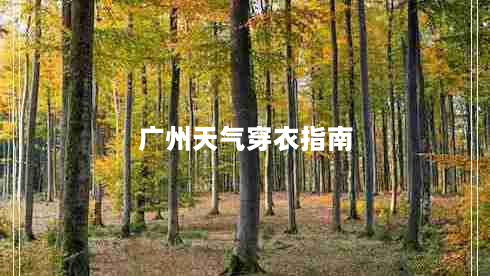 广州天气穿衣指南（这几天去广州穿什么衣服合适）