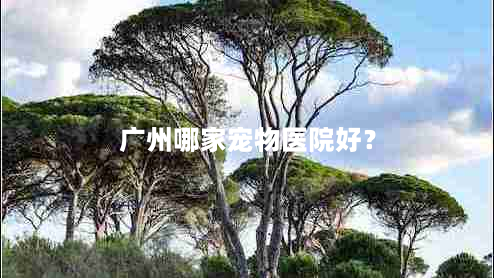 广州哪家宠物医院好？