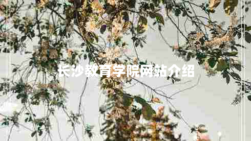 长沙教育学院网站介绍（校园生活招生信息教学资源一网打尽）