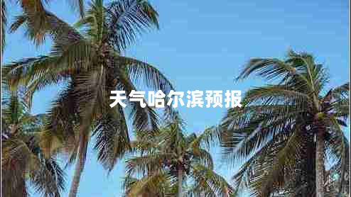 天气哈尔滨预报（天气预告哈尔滨）