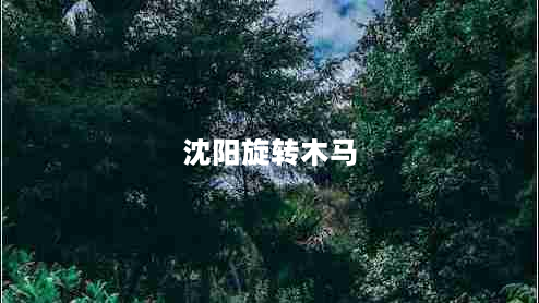 沈阳旋转木马（畅享欢乐时光）