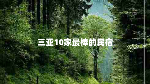 三亚10家最棒的民宿（三亚10家最棒的民宿价格）