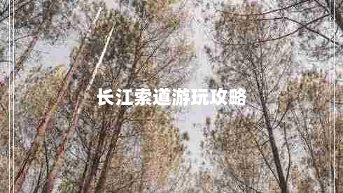 长江索道游玩攻略（长江索道游玩攻略大全）