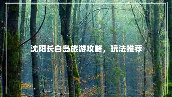 沈阳长白岛旅游攻略，玩法推荐