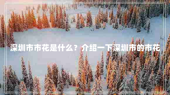 深圳市市花是什么？介绍一下深圳市的市花