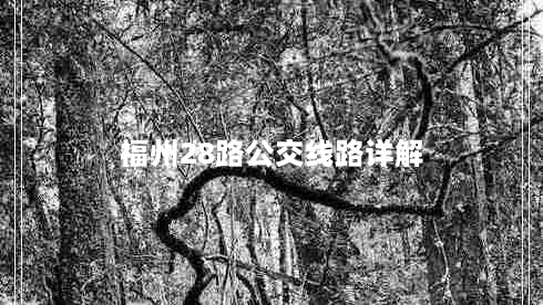 福州28路公交线路详解（出行必备攻略）