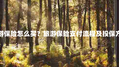 旅游保险怎么买？旅游保险支付流程及投保方法