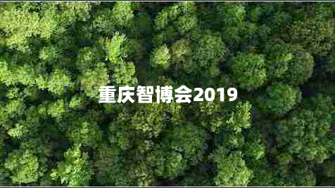 重庆智博会2019（数字化创新引领未来）