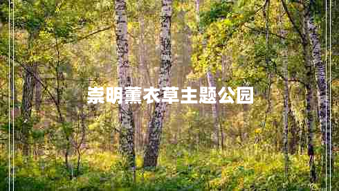 崇明薰衣草主题公园（崇明薰衣草主题公园开门了吗）