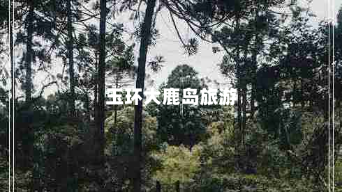 玉环大鹿岛旅游（玉环大鹿岛旅游攻略方案）