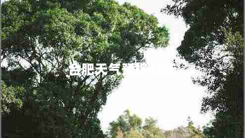 合肥天气预报40天（合肥天气预报40天查询结果准确吗）