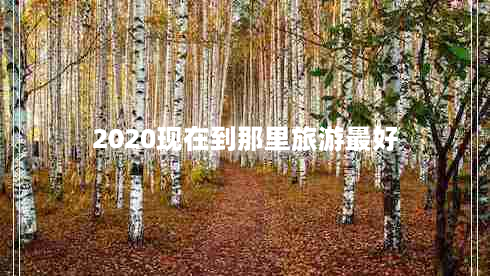 2020现在到那里旅游最好（旅游攻略推荐）