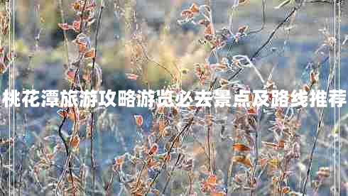 桃花潭旅游攻略游览必去景点及路线推荐