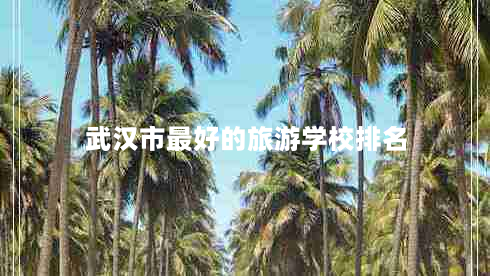 武汉市最好的旅游学校排名（武汉旅游学校推荐大全）