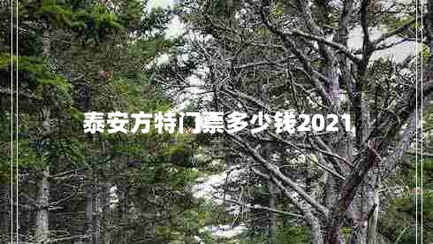 泰安方特门票多少钱2021（泰安方特门票多少钱2021年）