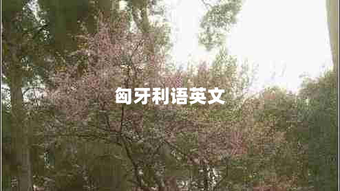 匈牙利语英文（学习匈牙利语的基础词汇和语法）