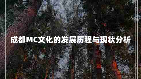 成都MC文化的发展历程与现状分析