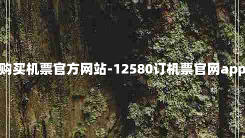 购买机票官方网站-12580订机票官网app