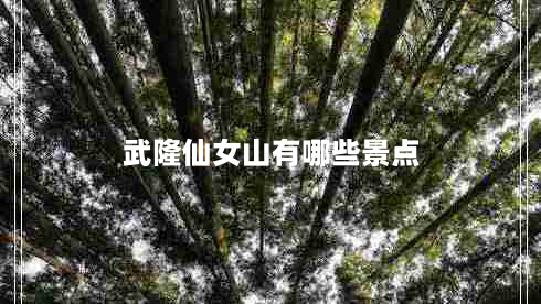 武隆仙女山有哪些景点（探秘仙女山的自然风光和历史文化）