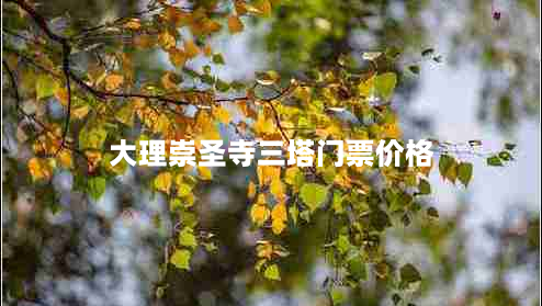 大理崇圣寺三塔门票价格（门票价格及购票方式）