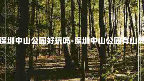 深圳中山公园好玩吗-深圳中山公园有山吗